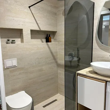 Luxury Apartment